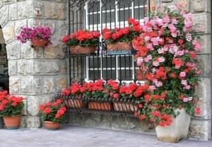 thumbnail: Exterior detail
