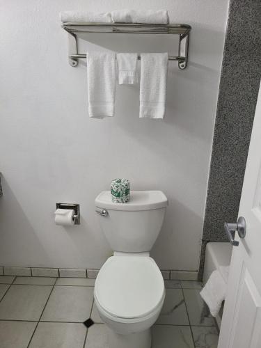 722982324.jpg