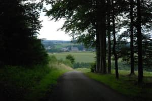thumbnail: 1587260.jpg