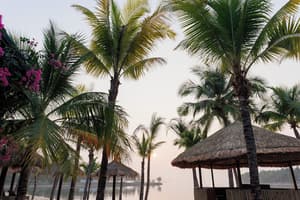 thumbnail: View from property