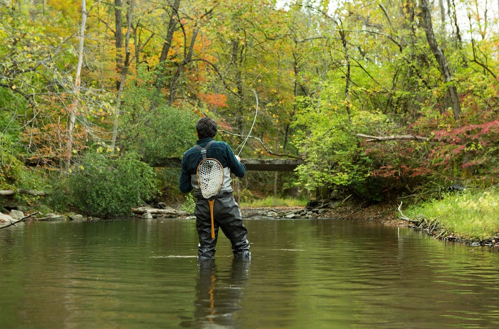Fishing