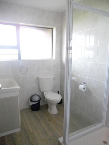 41041050.jpg