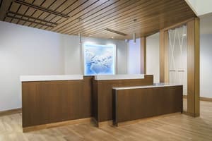 thumbnail: Reception