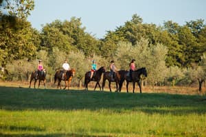 thumbnail: Horseback riding