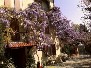 thumbnail: Exterior