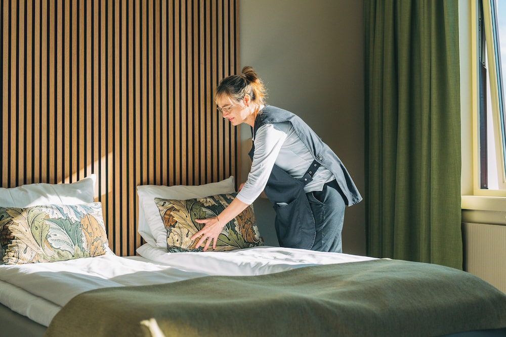 Cleanliness standards