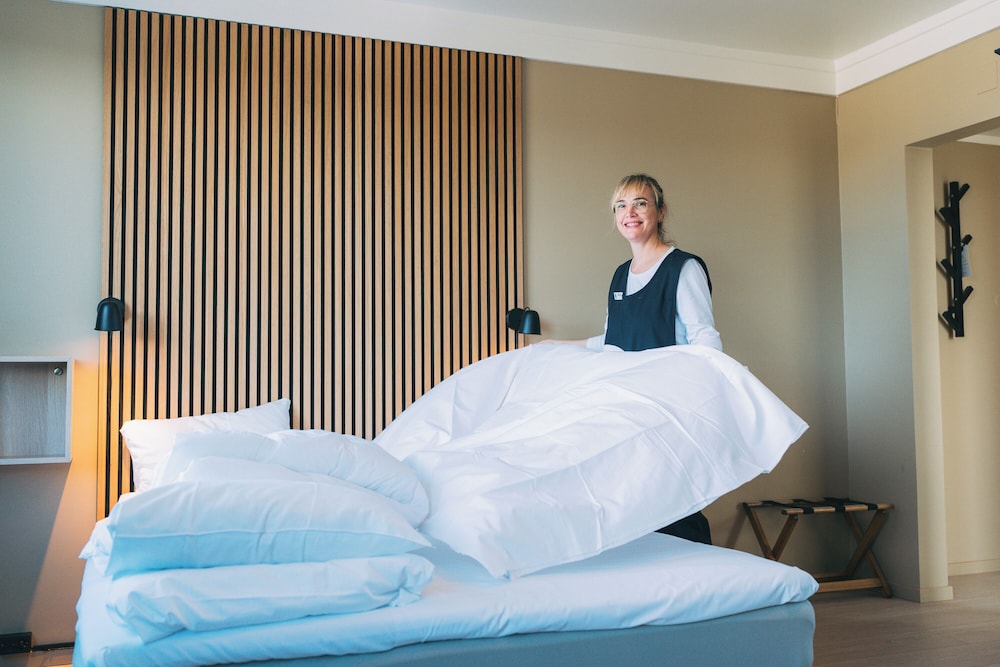 Cleanliness standards