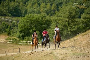 thumbnail: Horseback riding