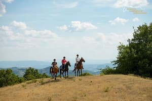 thumbnail: Horseback riding