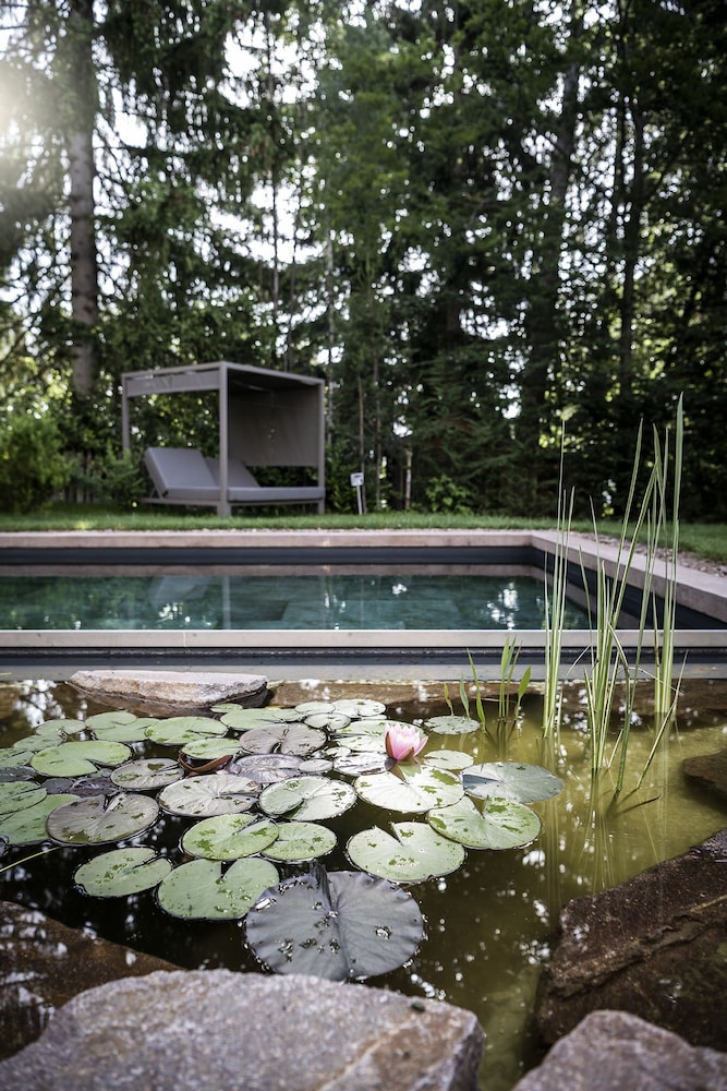 Natural pool