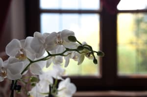 thumbnail: Interior