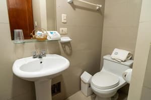 thumbnail: 513318318.jpg