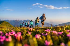 thumbnail: Hiking