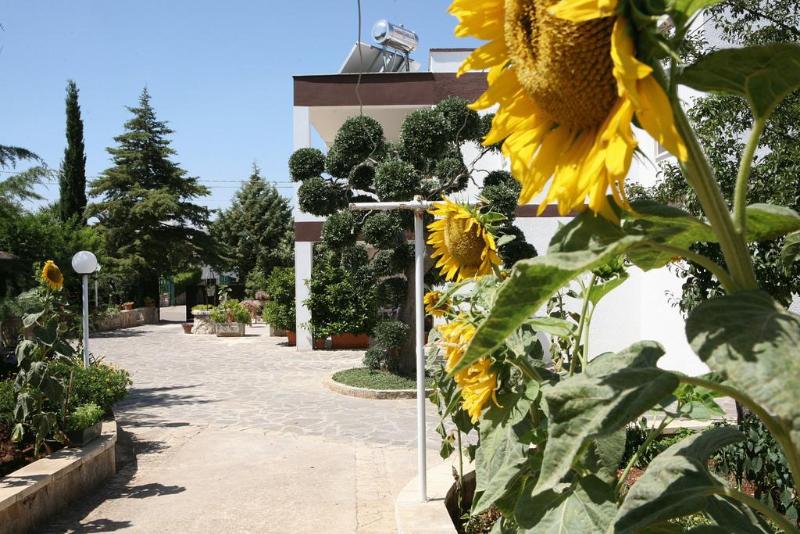 General view