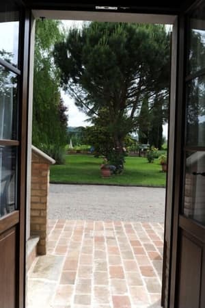 thumbnail: View from room