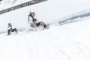 thumbnail: Sledding