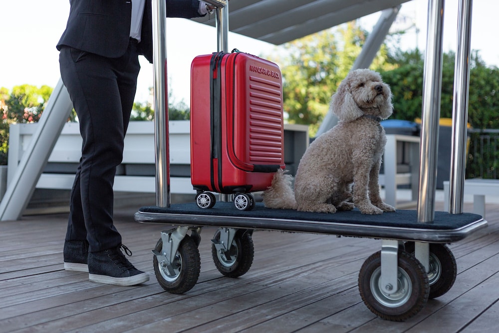 Pet-friendly amenities