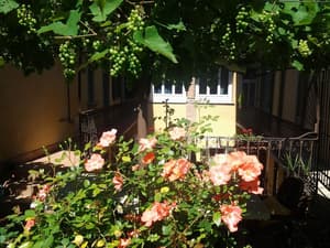 thumbnail: Garden