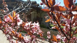 thumbnail: Exterior