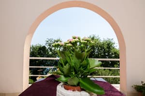 thumbnail: Terrace/patio