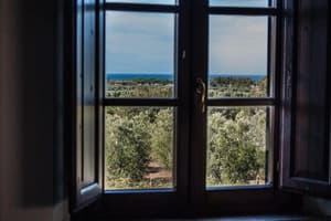 thumbnail: View from room