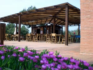 thumbnail: Outdoor dining
