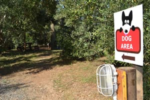 thumbnail: Property grounds