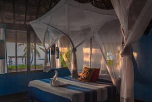 thumbnail: General view
