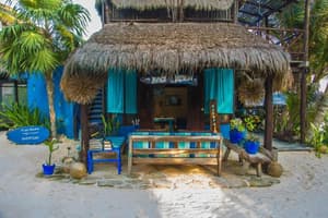 thumbnail: General view