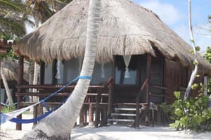 thumbnail: General view