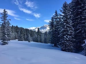 thumbnail: Land view from property