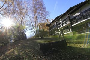 thumbnail: Garden