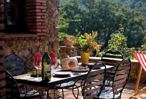 thumbnail: Terrace/patio