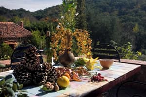 thumbnail: Terrace/patio