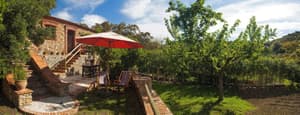 thumbnail: Terrace/patio