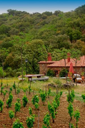 thumbnail: View from property