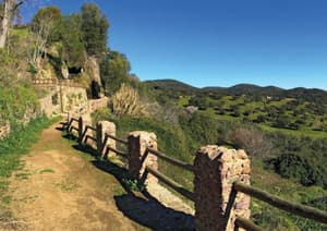 thumbnail: Hiking