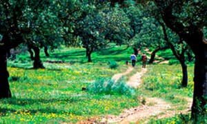 thumbnail: Hiking