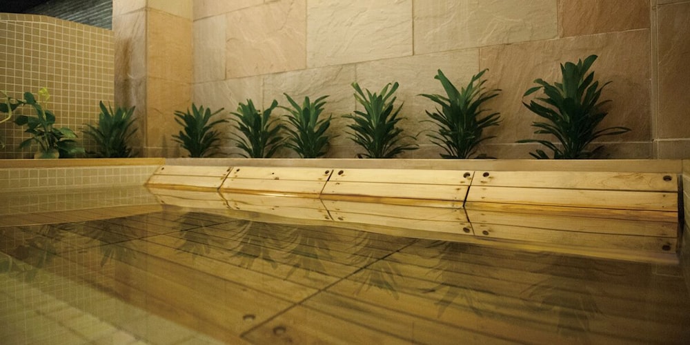 Swimming pool-spa