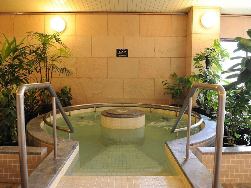 Swimming pool-spa