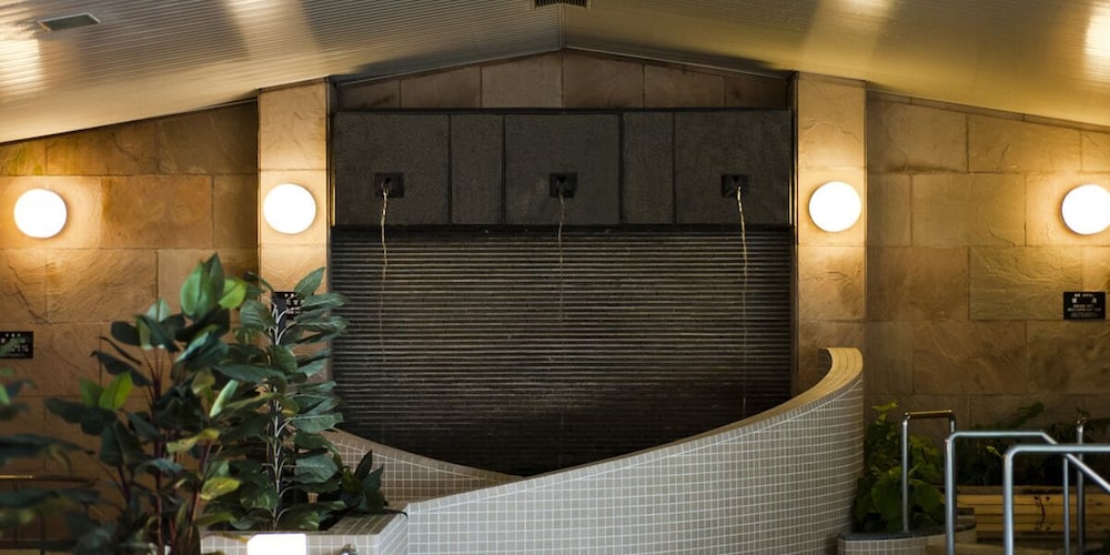 Swimming pool-spa