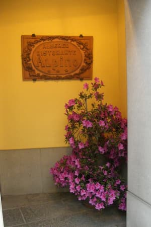 thumbnail: Interior detail