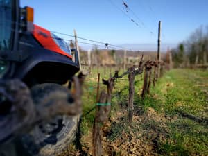 thumbnail: Winery