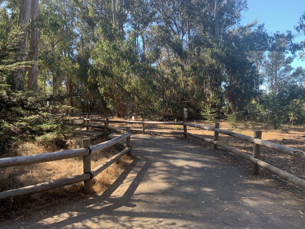 Hiking