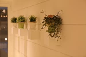 thumbnail: Interior