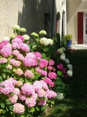 thumbnail: General view