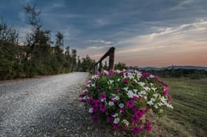 thumbnail: Exterior