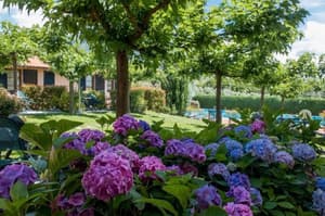 thumbnail: Garden