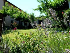 thumbnail: Garden