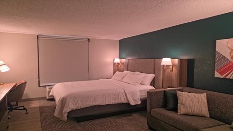 Queen Bed Guest Room